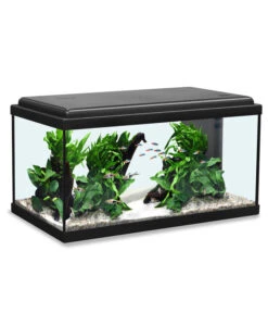 Aquatlantis Aquarium Advance 60 LED Set