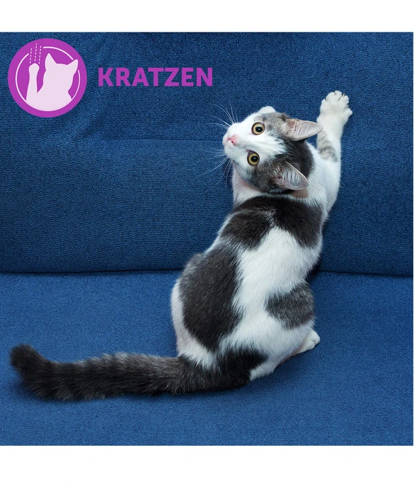 FELIWAY® Classic Verdampfer Start-Set – Bild 7