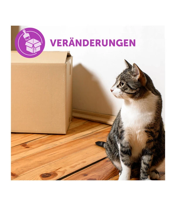 FELIWAY® Classic Verdampfer Start-Set – Bild 4