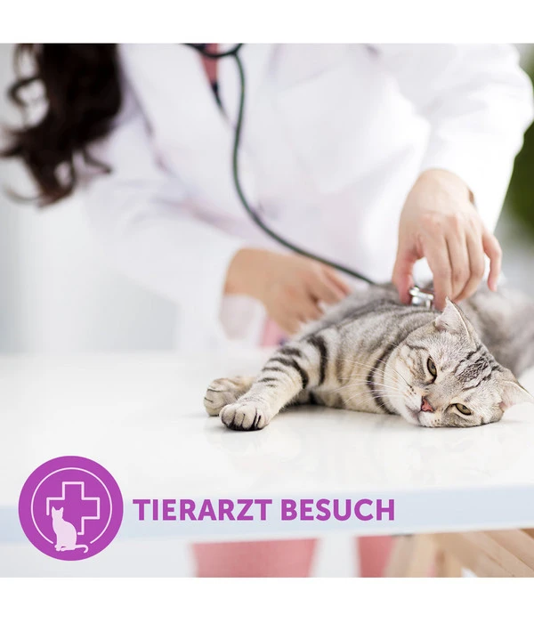 FELIWAY® Classic Verdampfer Start-Set – Bild 5