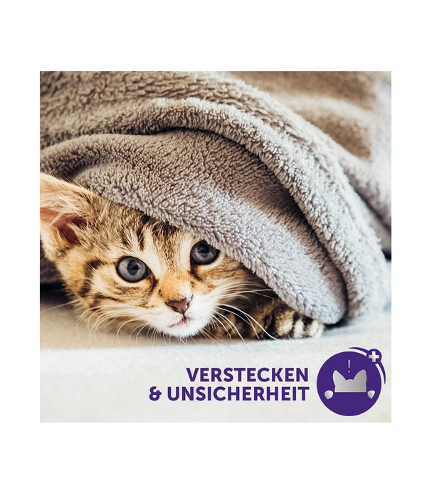 FELIWAY® Classic Verdampfer Start-Set – Bild 3