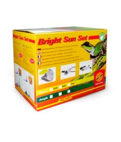 Lucky Reptile Bright Sun Set Jungle