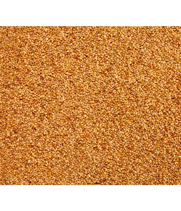 Dehner Senegalhirse, 1 Kg â Bild 3