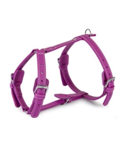 Das Lederband Hundegeschirr Style Barcelona Rose-Violet
