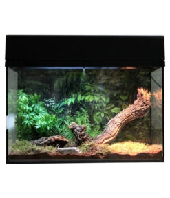 Lucky Reptile Starter Kit Komplettset Spinnen/Skorpione, Ca. B50/H40/28 Cm