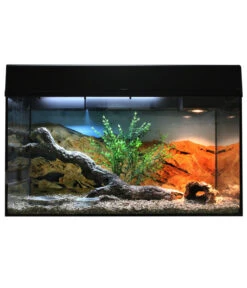 Lucky Reptile Starter Kit Komplettset Bartagame, Ca. B80/H52/T40 Cm