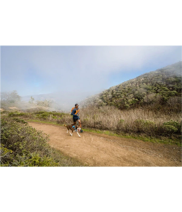 RUFFWEAR® Hundegeschirr Hi & Light™ Harness 2.0 – Bild 3