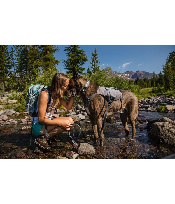 RUFFWEAR® Hundegeschirr Switchbak™ – Bild 2