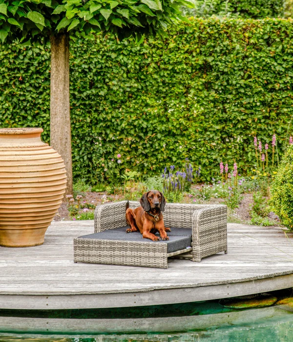 Greemotion PET Outdoor-Hundesofa Bahia, Grau, Ca. B97/H40/T52 Cm – Bild 5